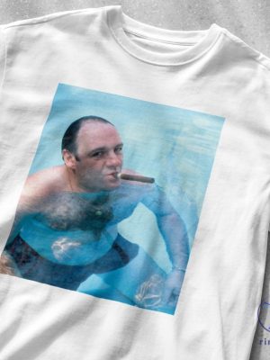 Tony Soprano T Shirt James Gandolfini Shirt Tv Show Shirt The Sopranos Duck Shirt riracha 6