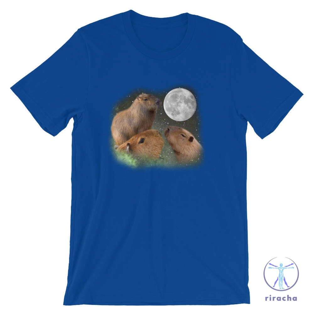 Three Moon Capybaras Shirt Capybara Capybara Shirt Capybara Tshirt Capybara T Shirt