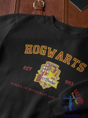 Harry Potter Hogwarts Houses Gryffindor Slytherin Ravenclaw Hufflepuff Custom Embroidered Sweatshirt Hoodie T Shirt Unique New riracha 2